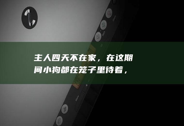 主人四天不在家，在这期间小狗都在笼子里待着，吃的和水都有，主人回去了，狗狗会生气吗