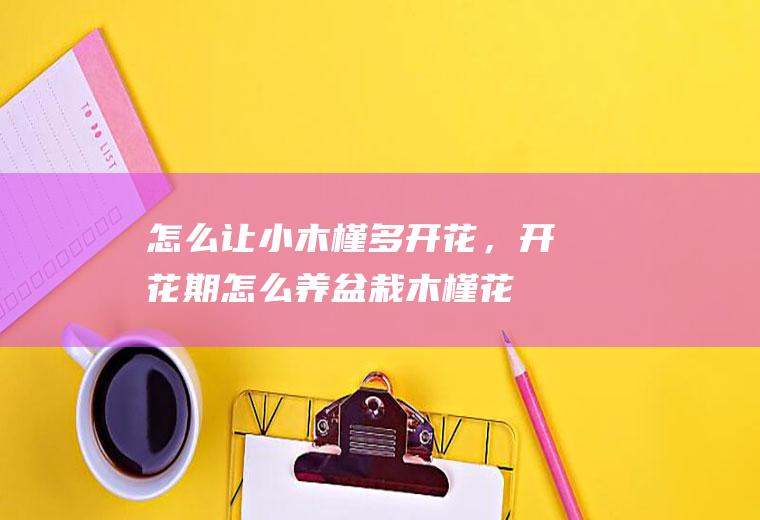 怎么让小木槿多开花，开花期怎么养,盆栽木槿花？