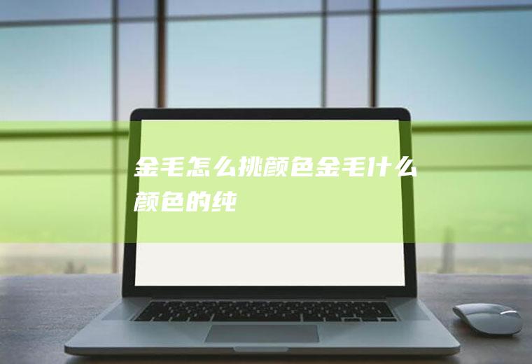 金毛怎么挑颜色(金毛什么颜色的纯)