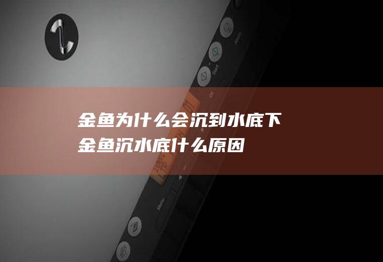 金鱼为什么会沉到水底下(金鱼沉水底什么原因)