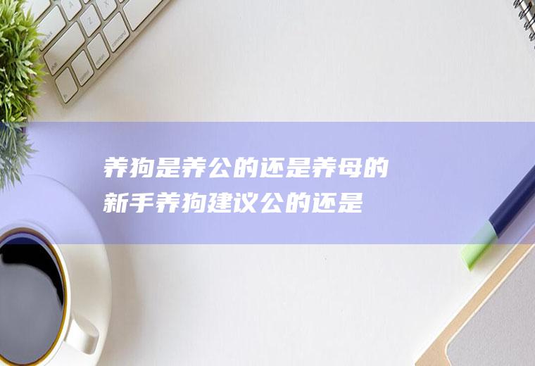 养狗是养公的还是养母的(新手养狗建议公的还是母的)