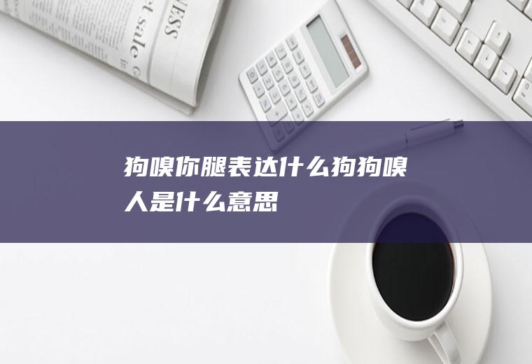 狗嗅你腿表达什么(狗狗嗅人是什么意思)