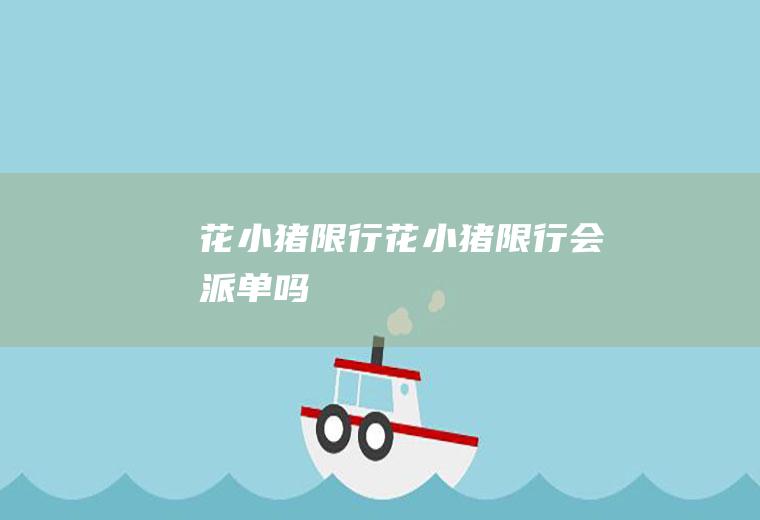 花小猪限行花小猪限行会派单吗
