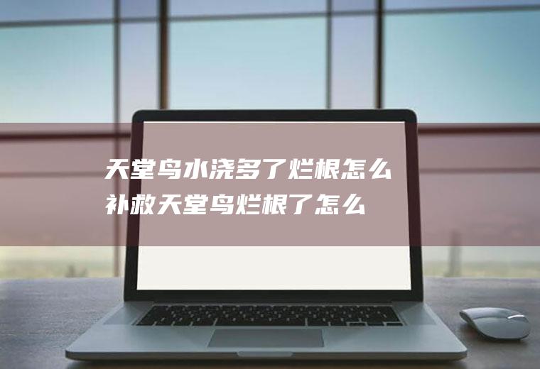 天堂鸟水浇多了烂根怎么补救(天堂鸟烂根了怎么救治)