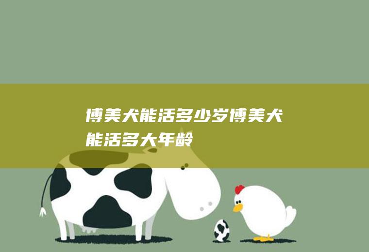 博美犬能活多少岁(博美犬能活多大年龄)