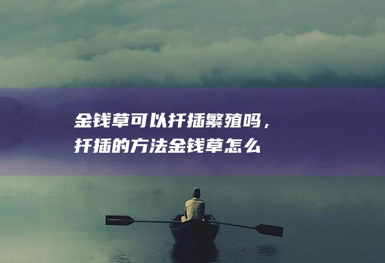 金钱草可以扦插繁殖吗，扦插的方法,金钱草怎么扦插？