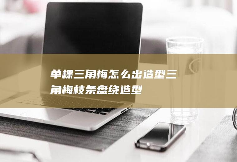 单棵三角梅怎么出造型(三角梅枝条盘绕造型)