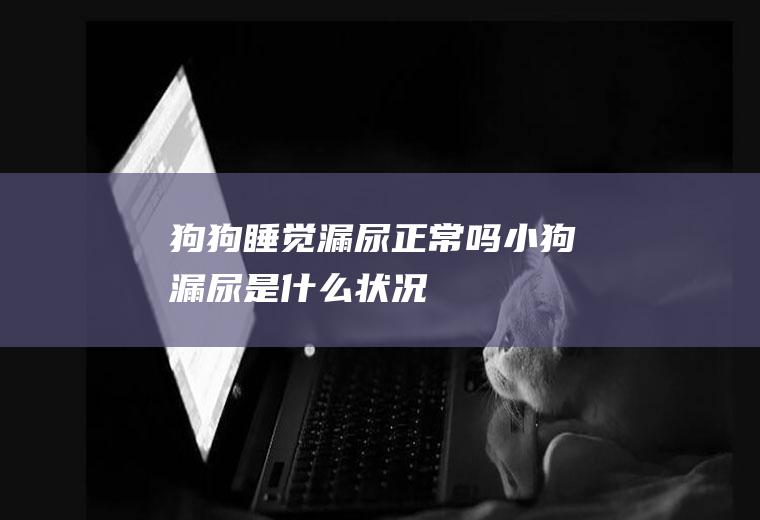 狗狗睡觉漏尿正常吗(小狗漏尿是什么状况)