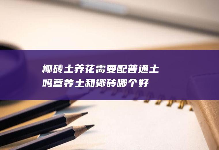 椰砖土养花需要配普通土吗(营养土和椰砖哪个好)