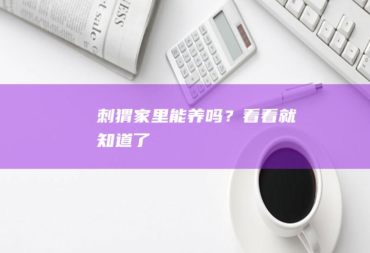 刺猬家里能养吗？看看就知道了!