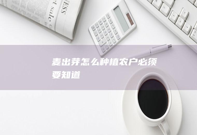 麦出芽怎么种植（农户必须要知道）