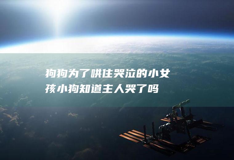 狗狗为了哄住哭泣的小女孩(小狗知道主人哭了吗)