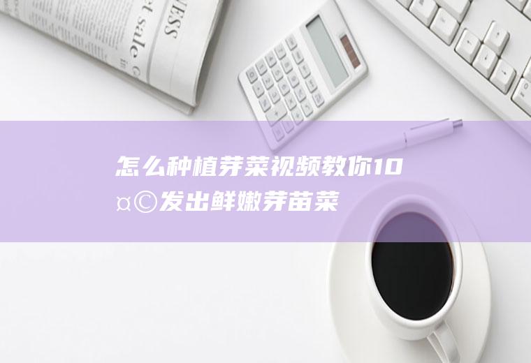 怎么种植芽菜视频（教你10天发出鲜嫩芽苗菜）