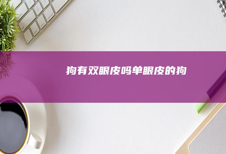 狗有双眼皮吗(单眼皮的狗)