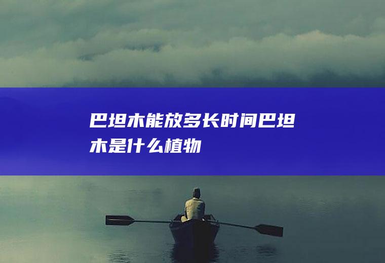 巴坦木能放多长时间(巴坦木是什么植物)