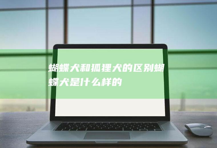 蝴蝶犬和狐狸犬的区别(蝴蝶犬是什么样的)