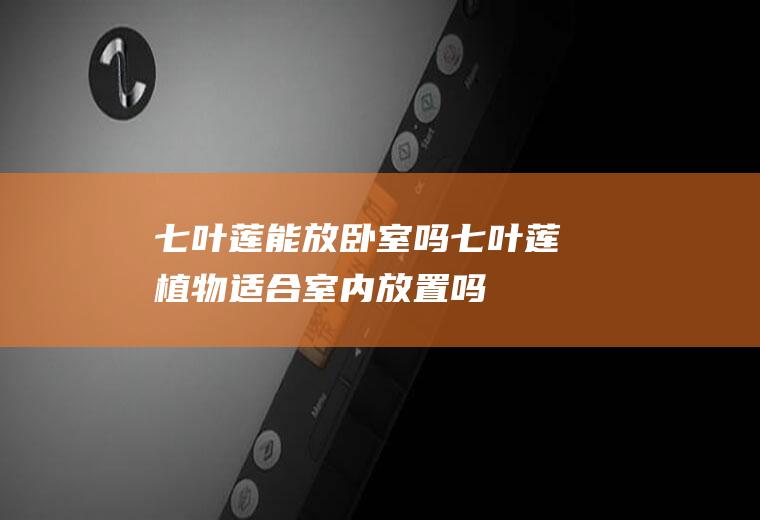 七叶莲能放卧室吗(七叶莲植物适合室内放置吗)