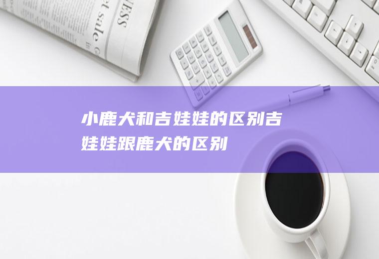 小鹿犬和吉娃娃的区别(吉娃娃跟鹿犬的区别)