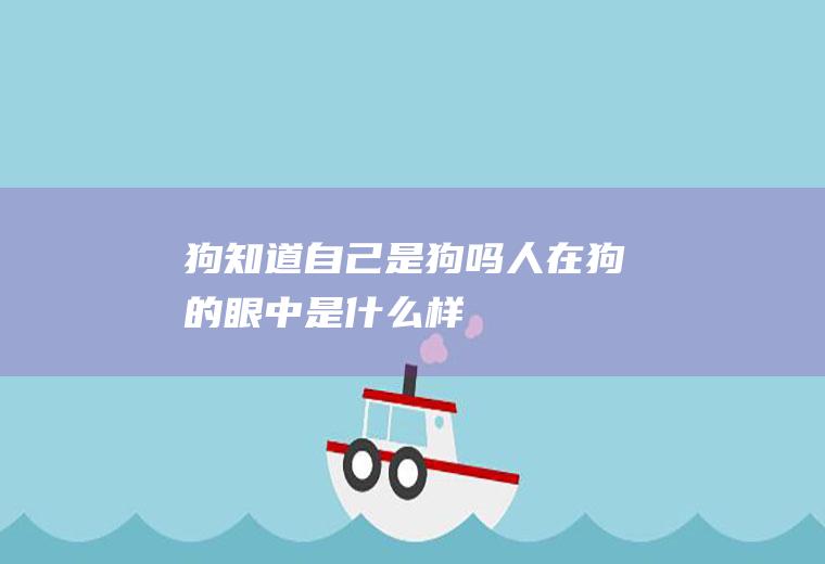 狗知道自己是狗吗(人在狗的眼中是什么样)