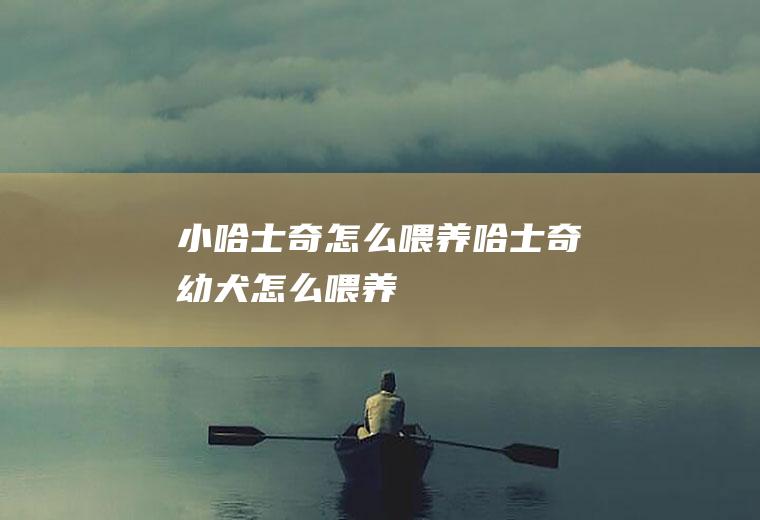 小哈士奇怎么喂养(哈士奇幼犬怎么喂养)