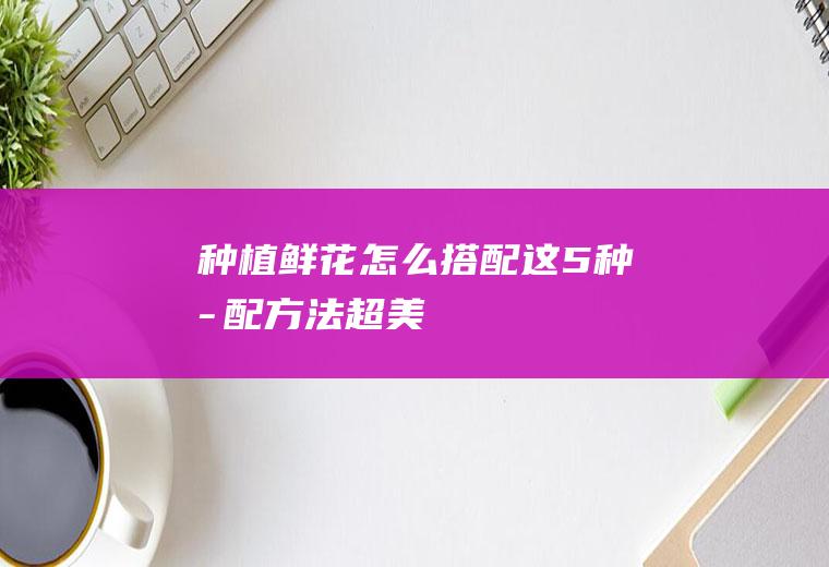 种植鲜花怎么搭配（这5种搭配方法超美）