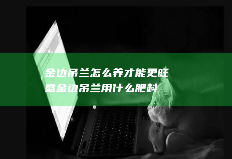 金边吊兰怎么养才能更旺盛(金边吊兰用什么肥料最好)