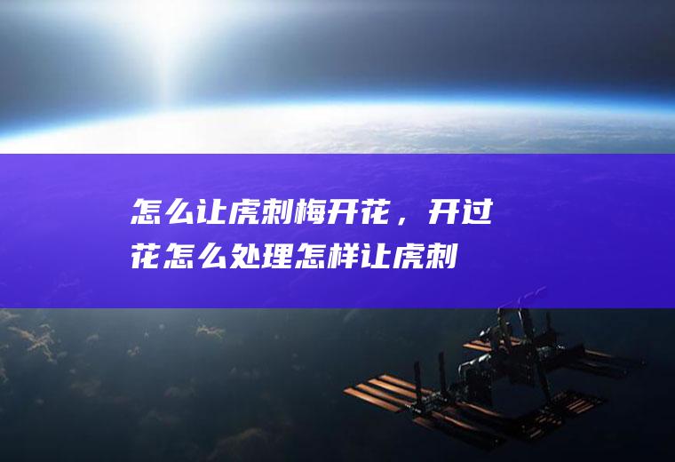 怎么让虎刺梅开花，开过花怎么处理,怎样让虎刺梅多发侧枝？