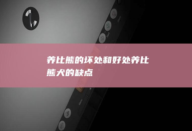 养比熊的坏处和好处(养比熊犬的缺点)