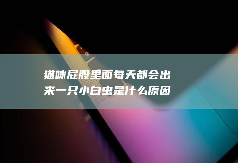 猫咪屁股里面每天都会出来一只小白虫是什么原因(猫排出的小白虫是什么虫)