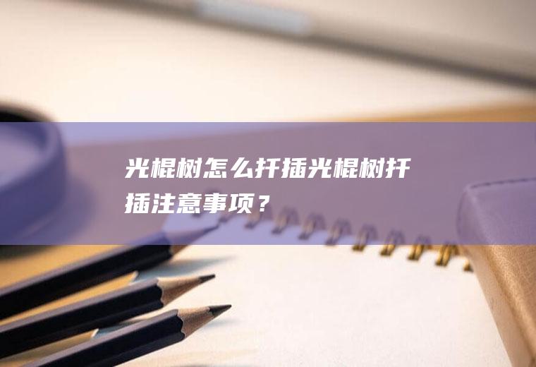 光棍树怎么扦插,光棍树扦插注意事项？