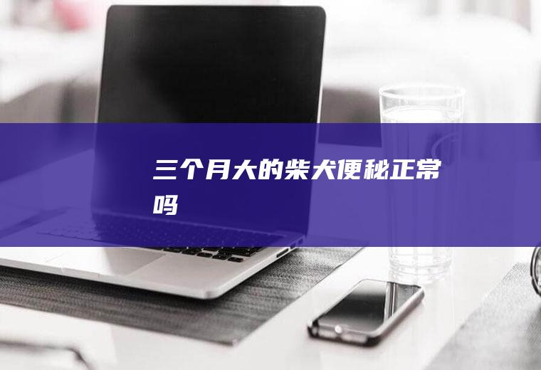 三个月大的柴犬便秘正常吗