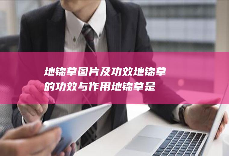 地锦草图片及功效(地锦草的功效与作用地锦草是什么)