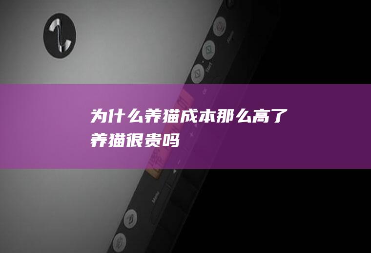 为什么养猫成本那么高了(养猫很贵吗)