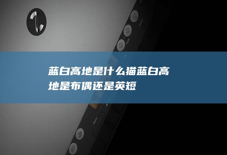 蓝白高地是什么猫(蓝白高地是布偶还是英短)