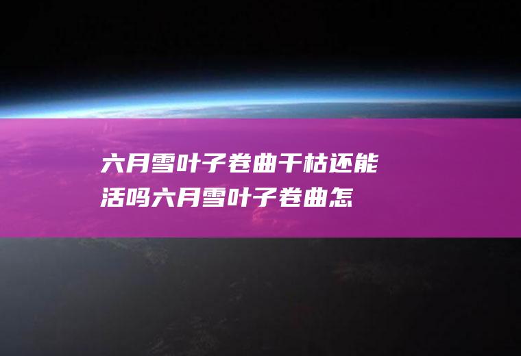 六月雪叶子卷曲干枯还能活吗(六月雪叶子卷曲怎么办)