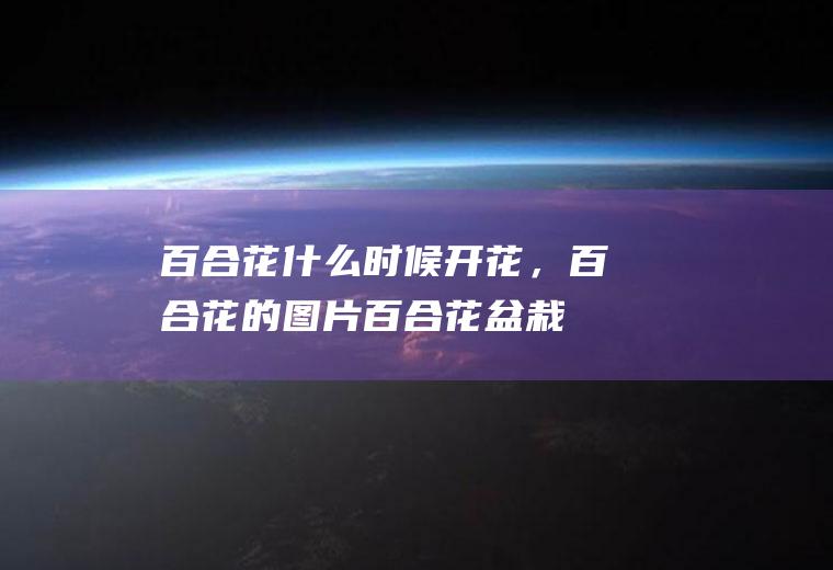 百合花什么时候开花，百合花的图片,百合花盆栽的养殖方法？