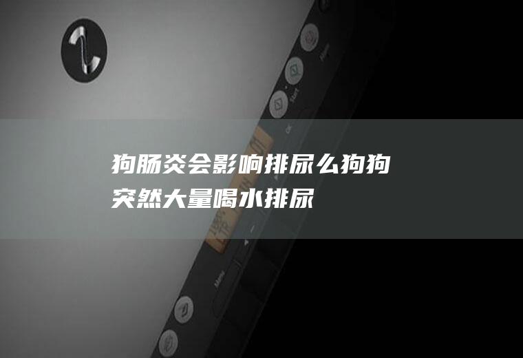 狗肠炎会影响排尿么(狗狗突然大量喝水排尿)