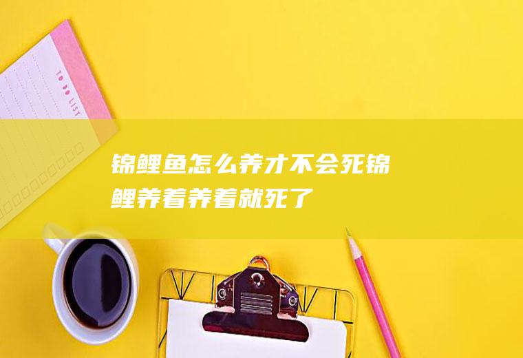 锦鲤鱼怎么养才不会死(锦鲤养着养着就死了)
