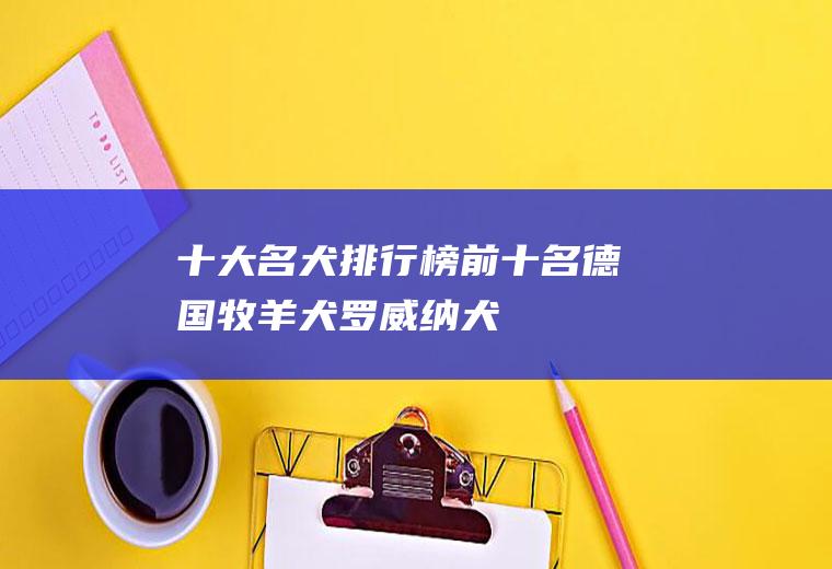 十大名犬排行榜前十名：德国牧羊犬,罗威纳犬
