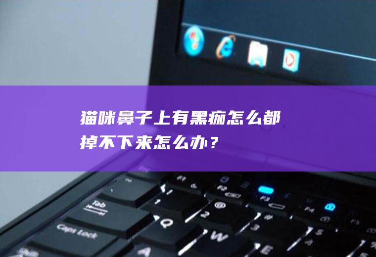 猫咪鼻子上有黑痂,怎么都掉不下来,怎么办？
