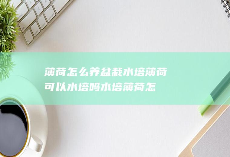 薄荷怎么养盆栽水培(薄荷可以水培吗水培薄荷怎么养)