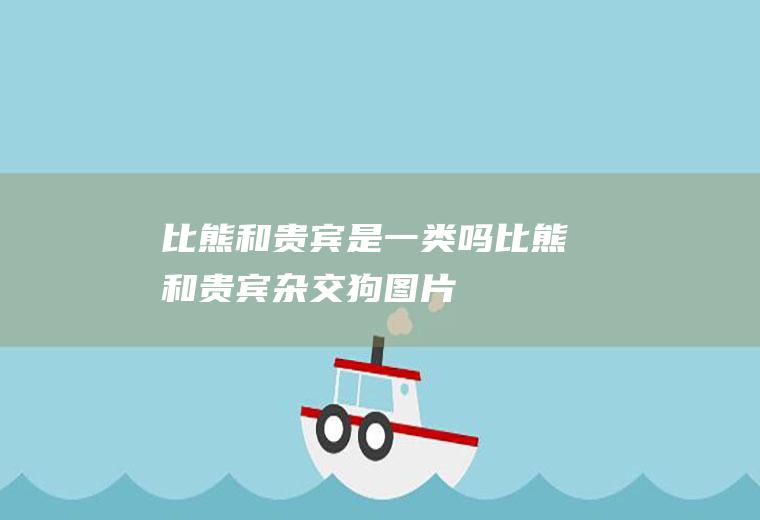 比熊和贵宾是一类吗(比熊和贵宾杂交狗图片)