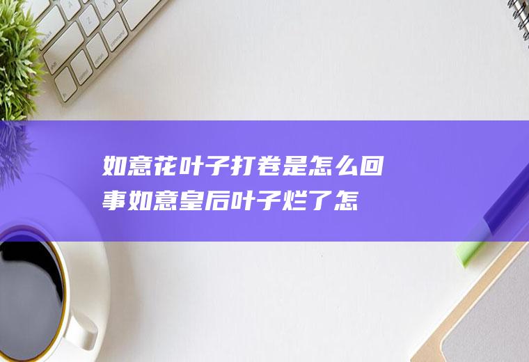 如意花叶子打卷是怎么回事(如意皇后叶子烂了怎么办)