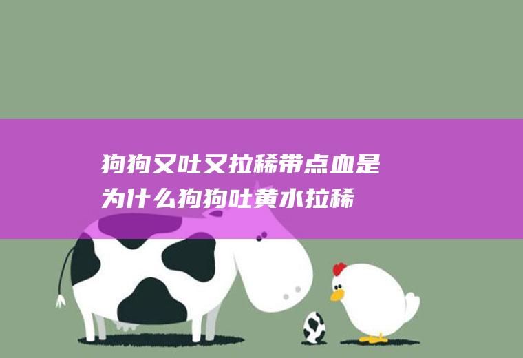狗狗又吐又拉稀带点血是为什么(狗狗吐黄水拉稀带血怎么办)