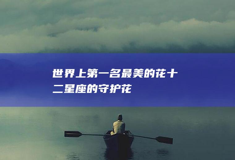 世界上第一名最美的花(十二星座的守护花)