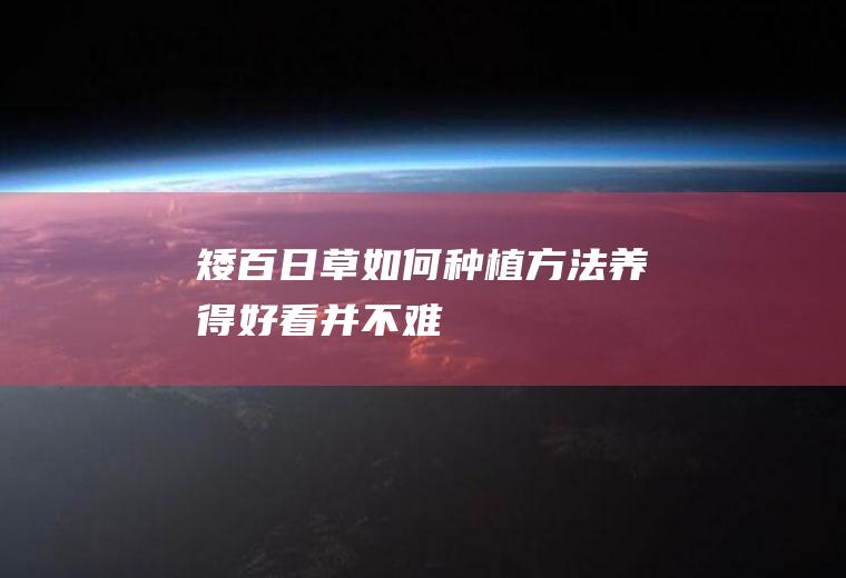矮百日草如何种植方法（养得好看并不难）