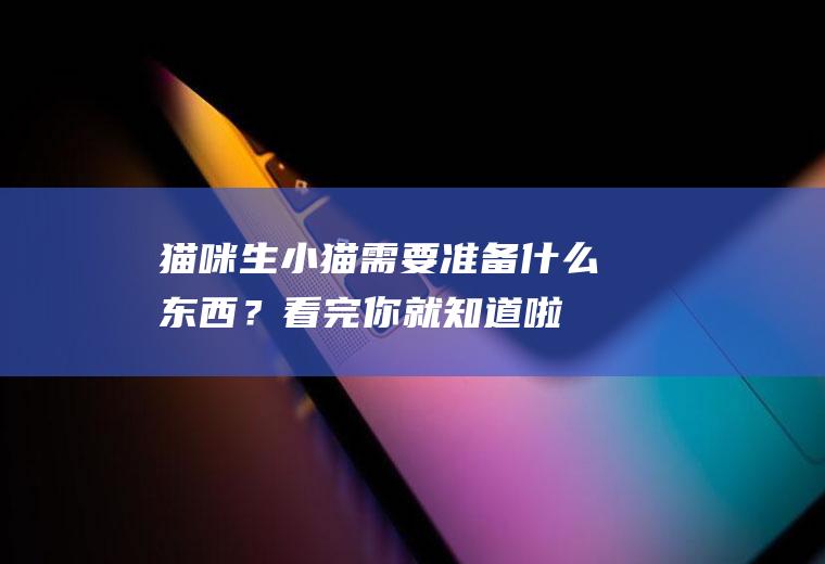 猫咪生小猫需要准备什么东西？看完你就知道啦!