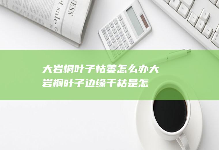 大岩桐叶子枯萎怎么办(大岩桐叶子边缘干枯是怎么回事)