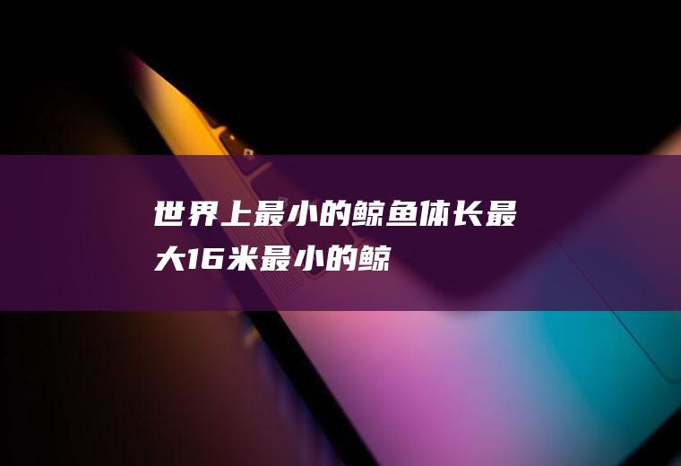 上最小的鲸鱼体长最大16米最小的鲸