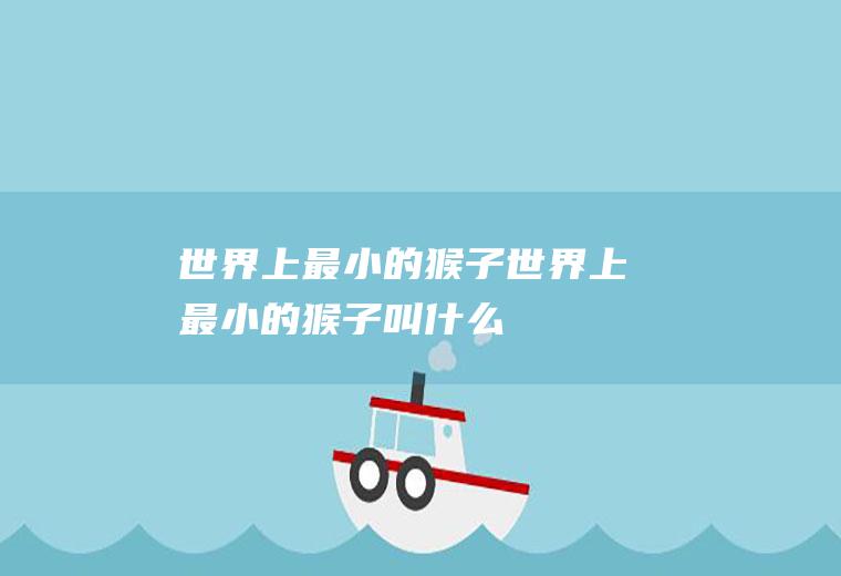 【世界上最小的猴子】世界上最小的猴子叫什么(世界上最小的人类)